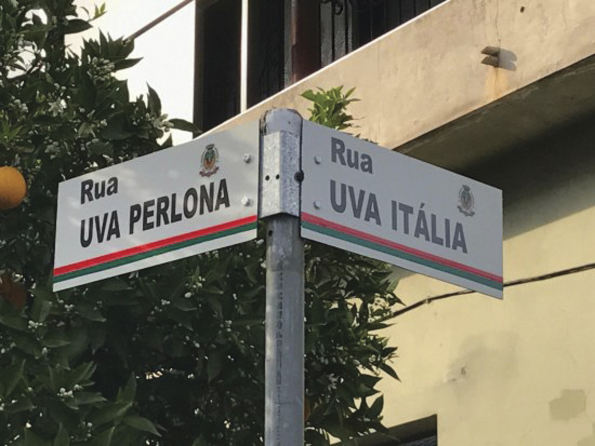 Ruas com nomes de Uvas