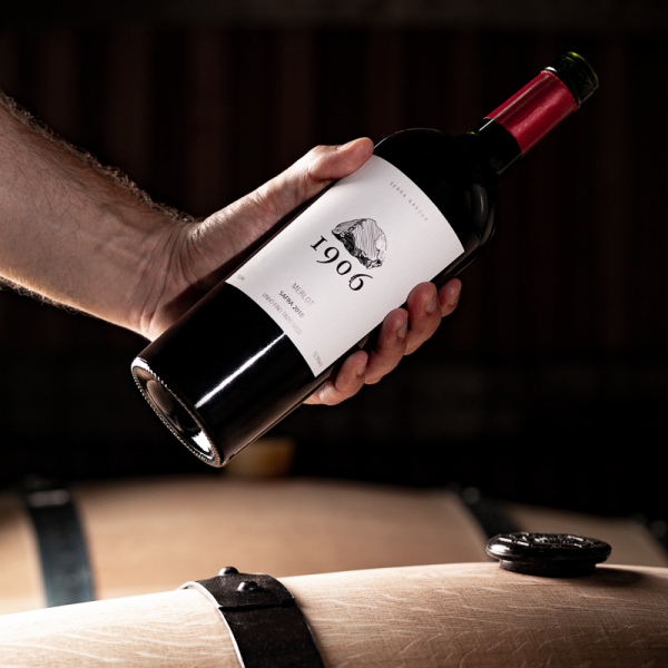 Pauletti Vinhos e Vinhedos